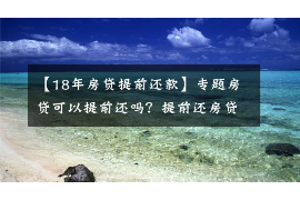 定南为什么选择专业追讨公司来处理您的债务纠纷？